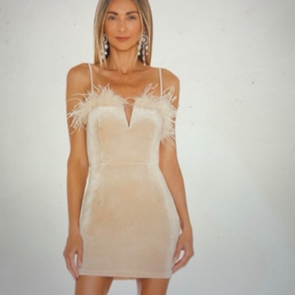 Champagne colored Revolve Super Down Dress. Size small in great condition.